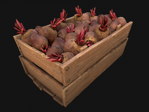 BeetRoot Box Crate Stand Model 3D
