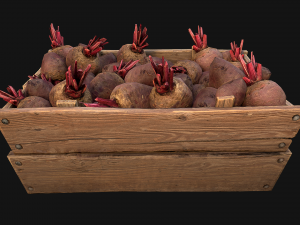 BeetRoot Box Crate Stand Model 3D