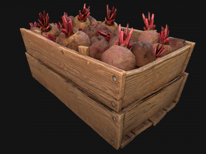 BeetRoot Box Crate Stand Model 3D
