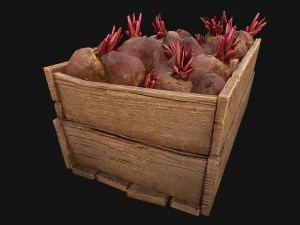 BeetRoot Box Crate Stand 3D Model