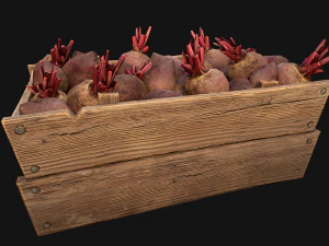 BeetRoot Box Crate Stand 3D Model