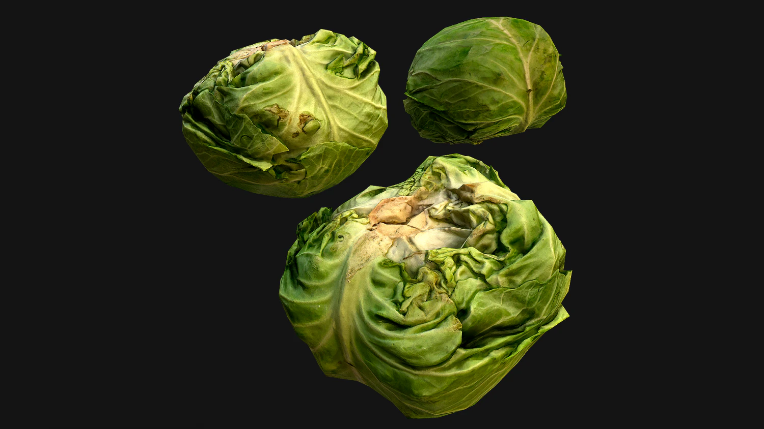 Cabbage 3D Model .c4d .max .obj .3ds .fbx .stl .blend 