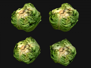 Cabbage Modelo 3D