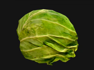Cabbage 3D Model