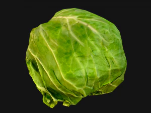 Cabbage 3D Model