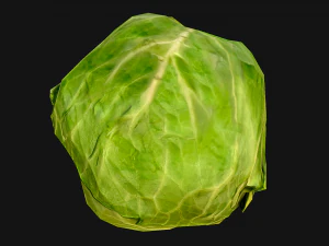 Cabbage 3D Model