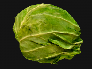 Cabbage Modelo 3D