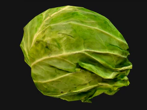 Cabbage 3D Model