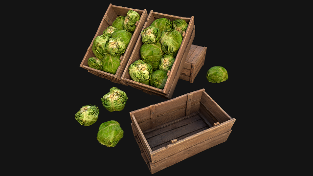 Cabbage Box Crate Stand 3Dモデル .c4d .max .obj .3ds .fbx .stl .blend 