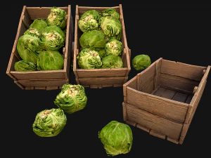 Cabbage Box Crate Stand 3D Model