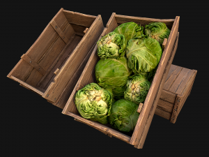 Cabbage Box Crate Stand 3Dモデル