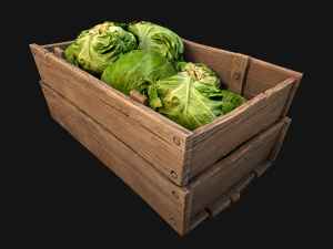 Cabbage Box Crate Stand 3D Model