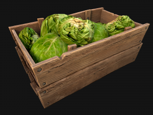 Cabbage Box Crate Stand 3Dモデル