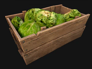 Cabbage Box Crate Stand 3D Model