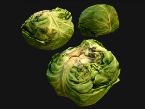 Cabbage Box Crate Stand 3D Model