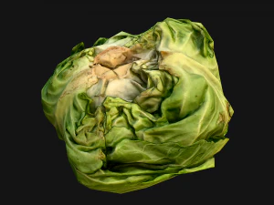 Cabbage Box Crate Stand 3D Model