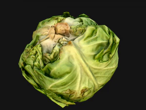 Cabbage Box Crate Stand 3D Model