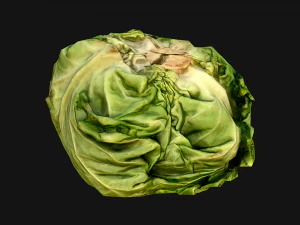 Cabbage Box Crate Stand 3D Model