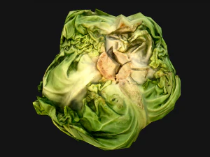 Cabbage Box Crate Stand 3D Model