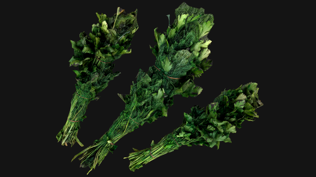 Dill Parsley Onion Green 3D Model .c4d .max .obj .3ds .fbx .stl .blend 