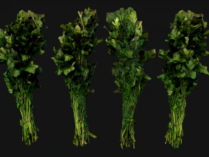 Dill Parsley Onion Green 3D Model