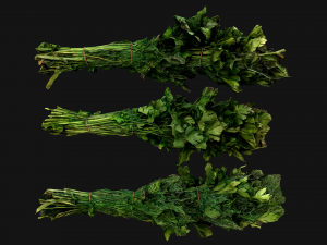 Dill Parsley Onion Green 3D Model