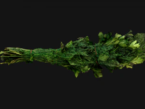 Dill Parsley Onion Green 3D Model
