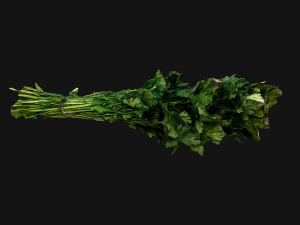 Dill Parsley Onion Green 3D Model