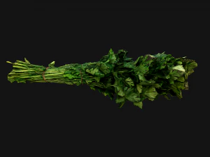Dill Parsley Onion Green 3D Model