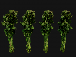 Dill Parsley Onion Green 3D Model