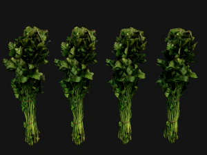 Dill Parsley Onion Green 3D Model