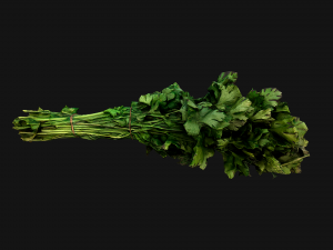 Dill Parsley Onion Green 3D Model