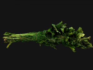 Dill Parsley Onion Green 3D Model