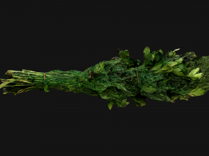 Dill Parsley Onion Green 3D Model
