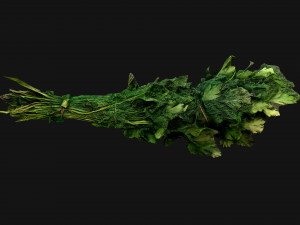 Dill Parsley Onion Green 3D Model