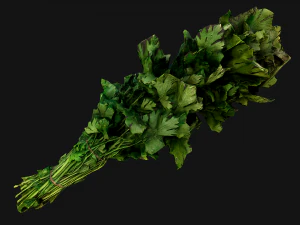 Dill Parsley Onion Green 3D Model