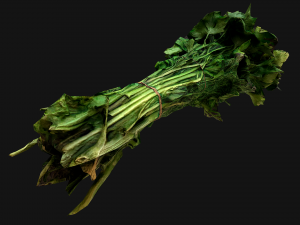 Dill Parsley Onion Green 3D Model