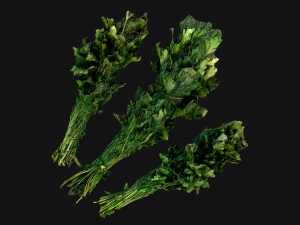 Dill Parsley Onion Green 3D Model