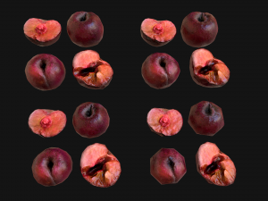Plums 3D Model