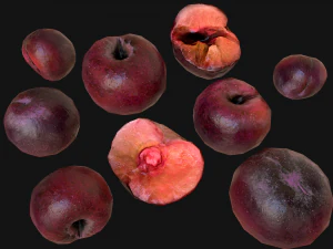 Plums 3D Model