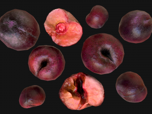 Plums 3D Model