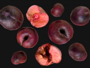 Plums 3D Model