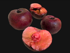 Plums 3D Model