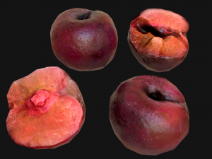 Plums 3D Model