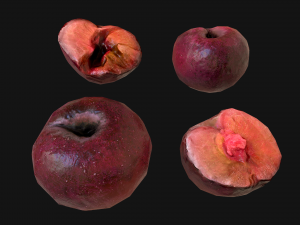 Plums 3D Model