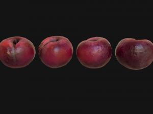 Plums 3D Model