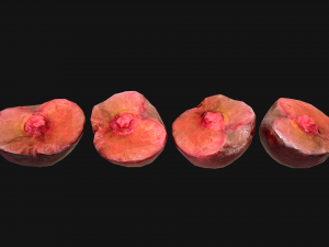 Plums 3D Model