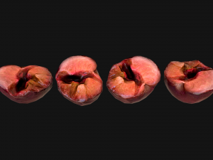 Plums 3D Model