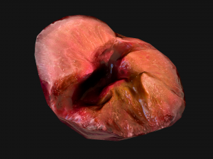 Plums 3D Model