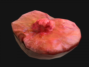 Plums 3D Model